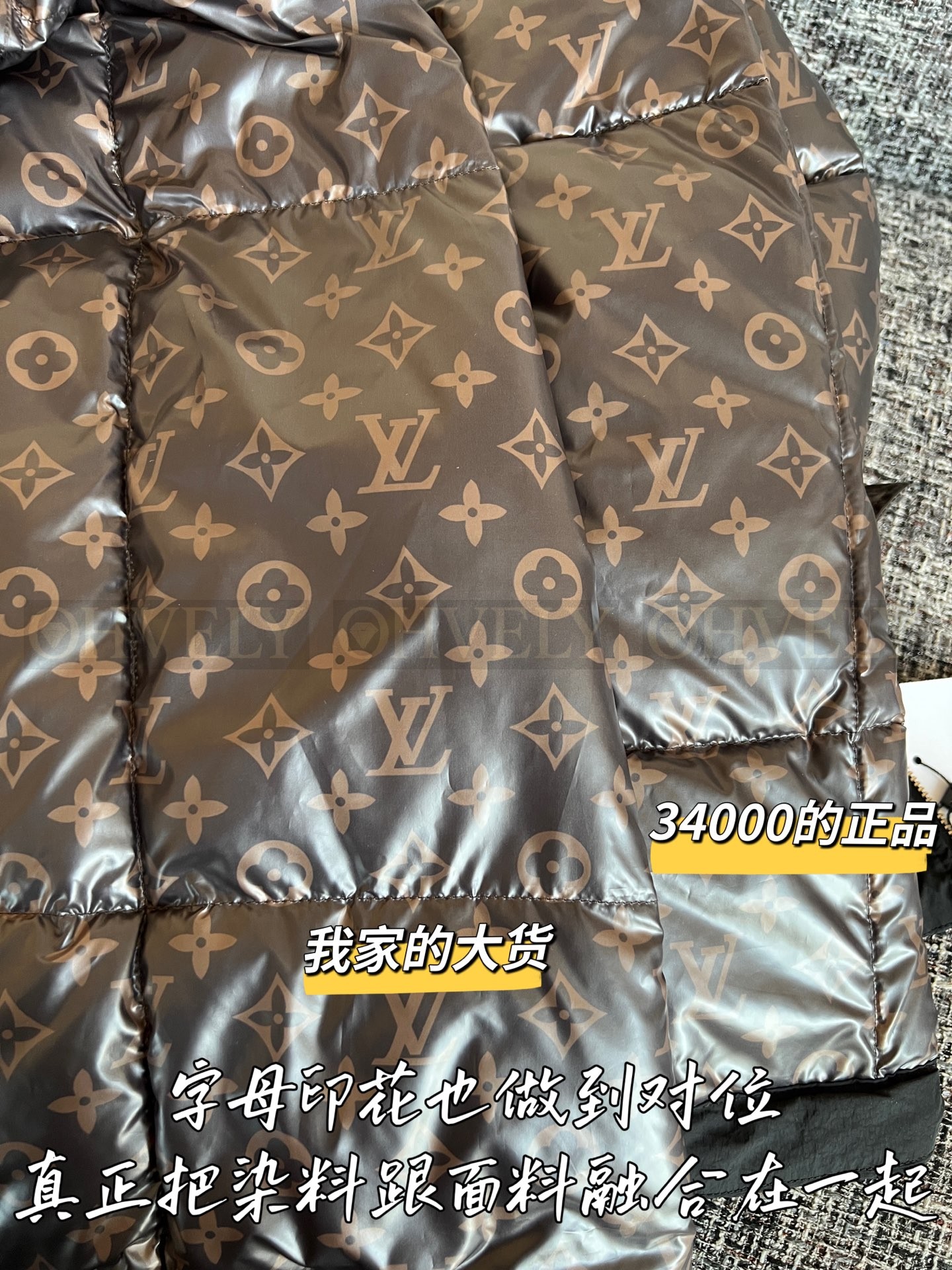【 ZP 】Louis Vuitton 2025 패딩 점퍼 (매장가 680만원) 상품 썸네일
