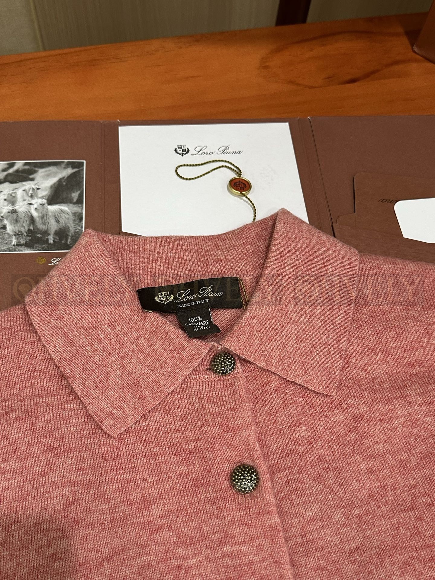 【 ZP 】LoroPiana 티셔츠 (매장가 332만원) 상품 썸네일