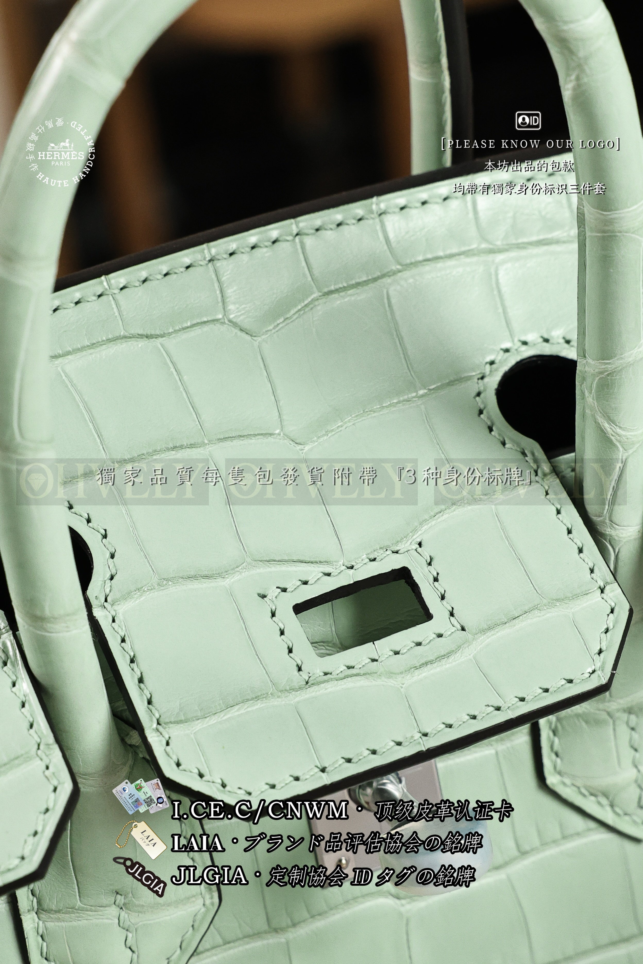 Hermès BIRKIN 𝟸𝟻 𝚅𝚎𝚛𝚝 𝚍'𝙴𝚊𝚞 은장 상품 썸네일