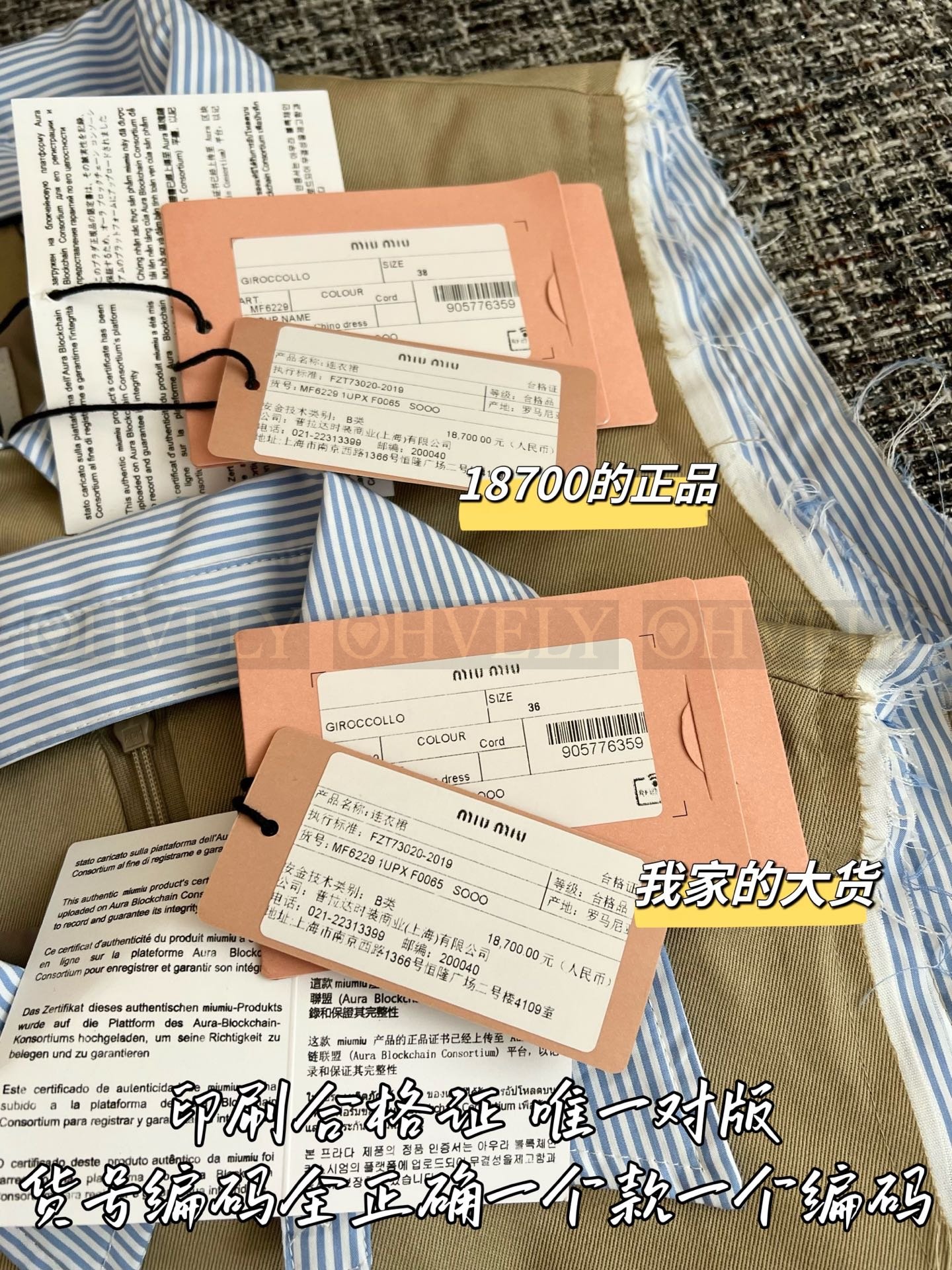 【 ZP버전 】 MIUMIU 셔츠 레이어드 디테일 코튼 원피스 상품 썸네일